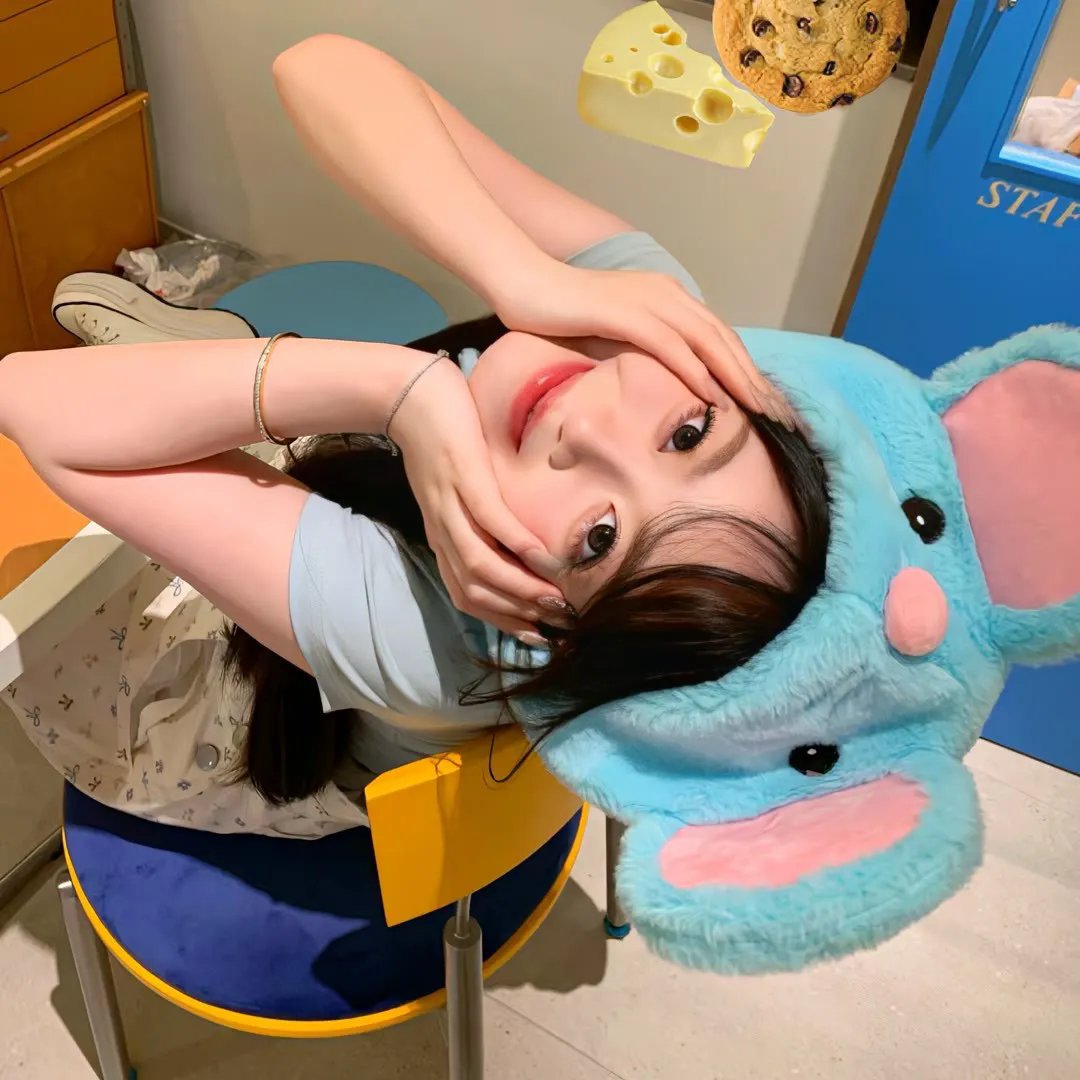 鼠来宝3